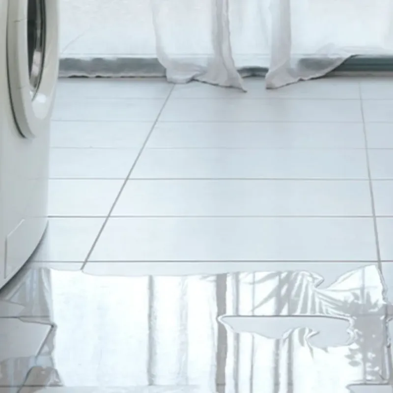Appliance Leak Cleanup in Eden, NY