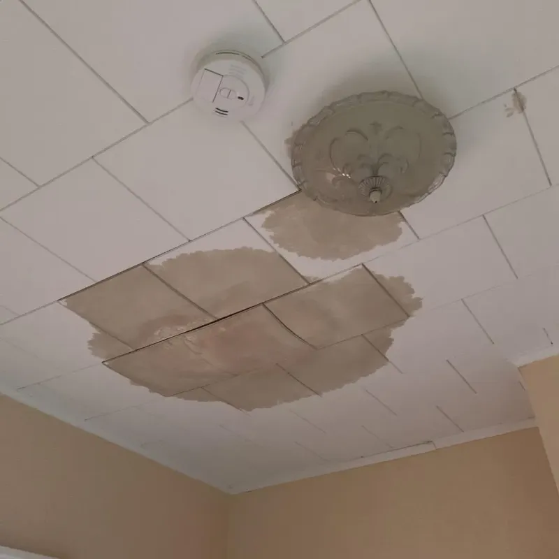 Ceiling Water Damage Repair in Eden, NY