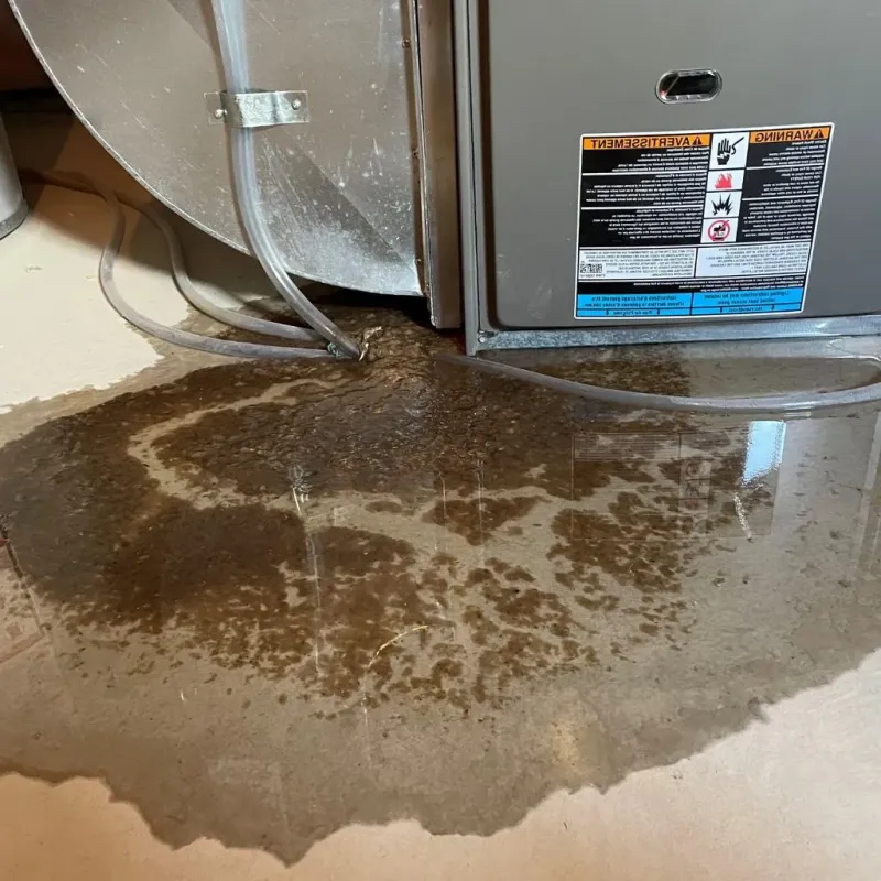 Pipe Burst and Leak Restoration in Eden, NY
