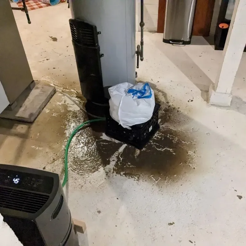 Sewage Backup Cleanup Service in Eden, NY